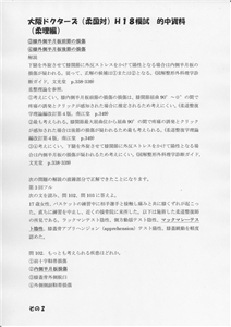 �I�������_��(�摜���N���b�N����Ɗg�債�܂��j_2