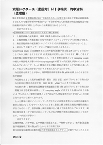 �I�������_��(�摜���N���b�N����Ɗg�債�܂��j_10